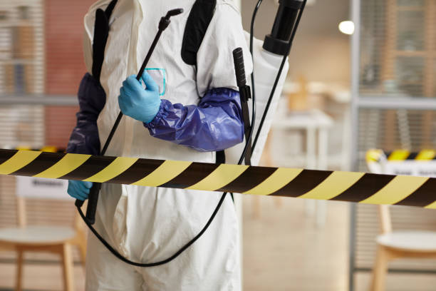 Professional Sewage Cleanup technician working in Reading, MN